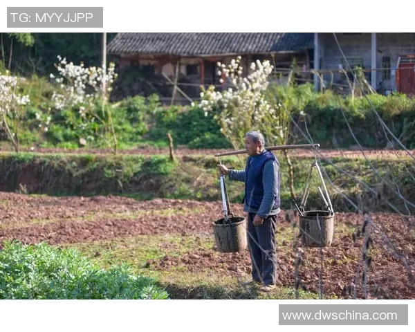 足球明星与乡村老人之间的温情故事揭示了爱与梦想的力量与希望